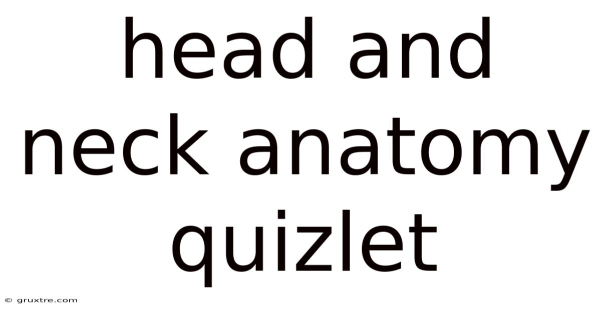 Head And Neck Anatomy Quizlet