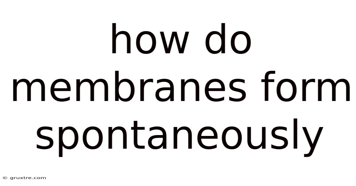 How Do Membranes Form Spontaneously