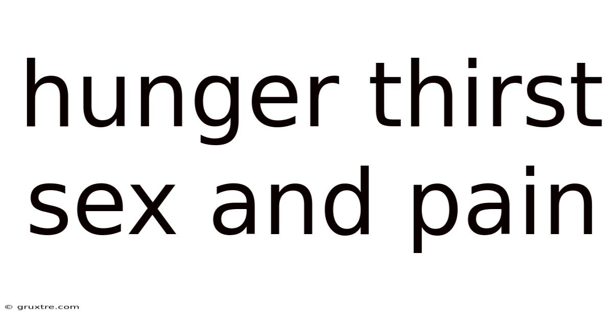 Hunger Thirst Sex And Pain