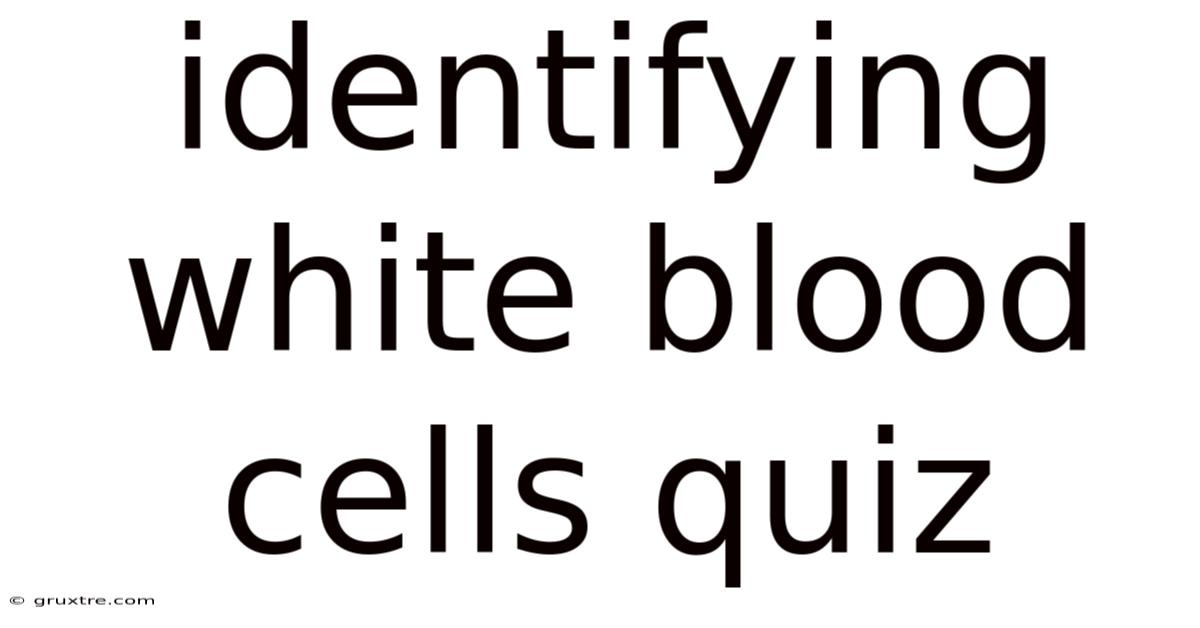 Identifying White Blood Cells Quiz
