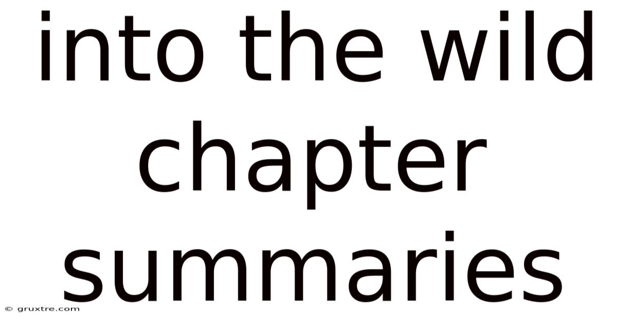 Into The Wild Chapter Summaries