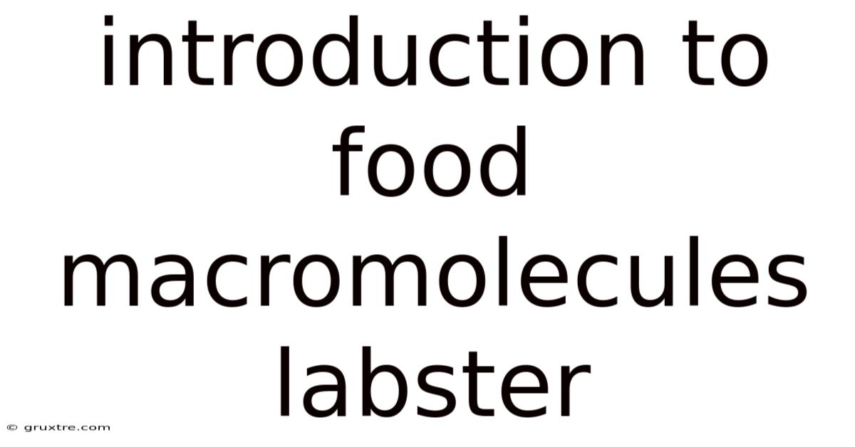 Introduction To Food Macromolecules Labster