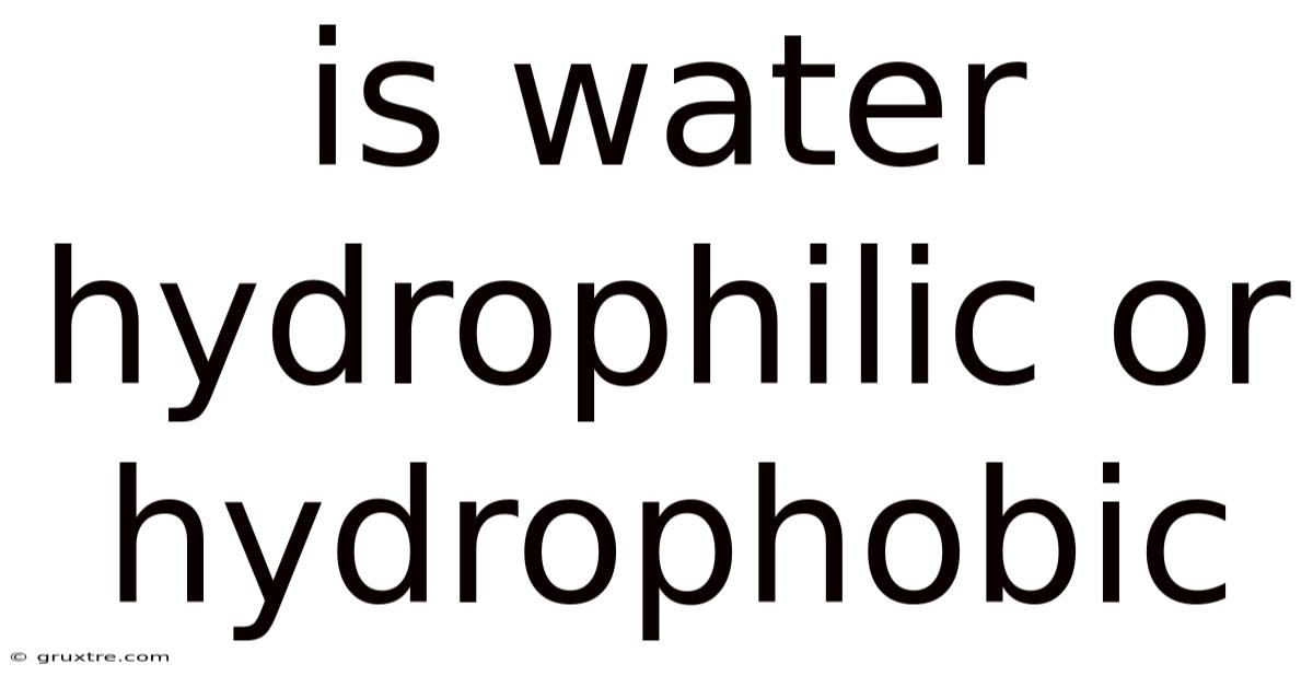 Is Water Hydrophilic Or Hydrophobic
