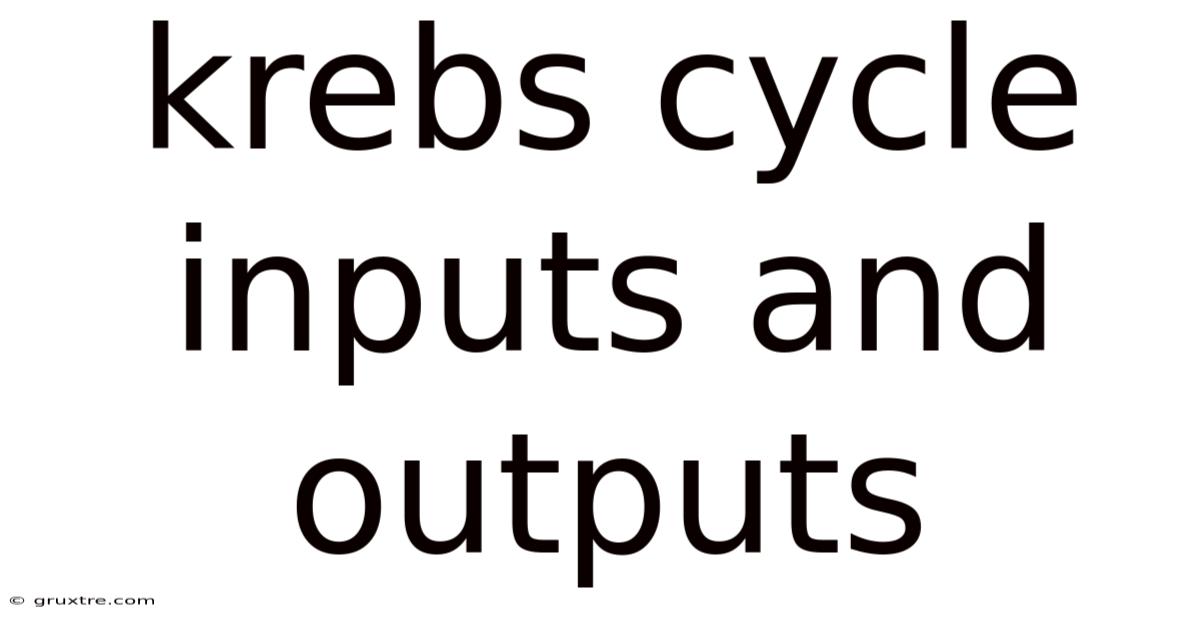 Krebs Cycle Inputs And Outputs
