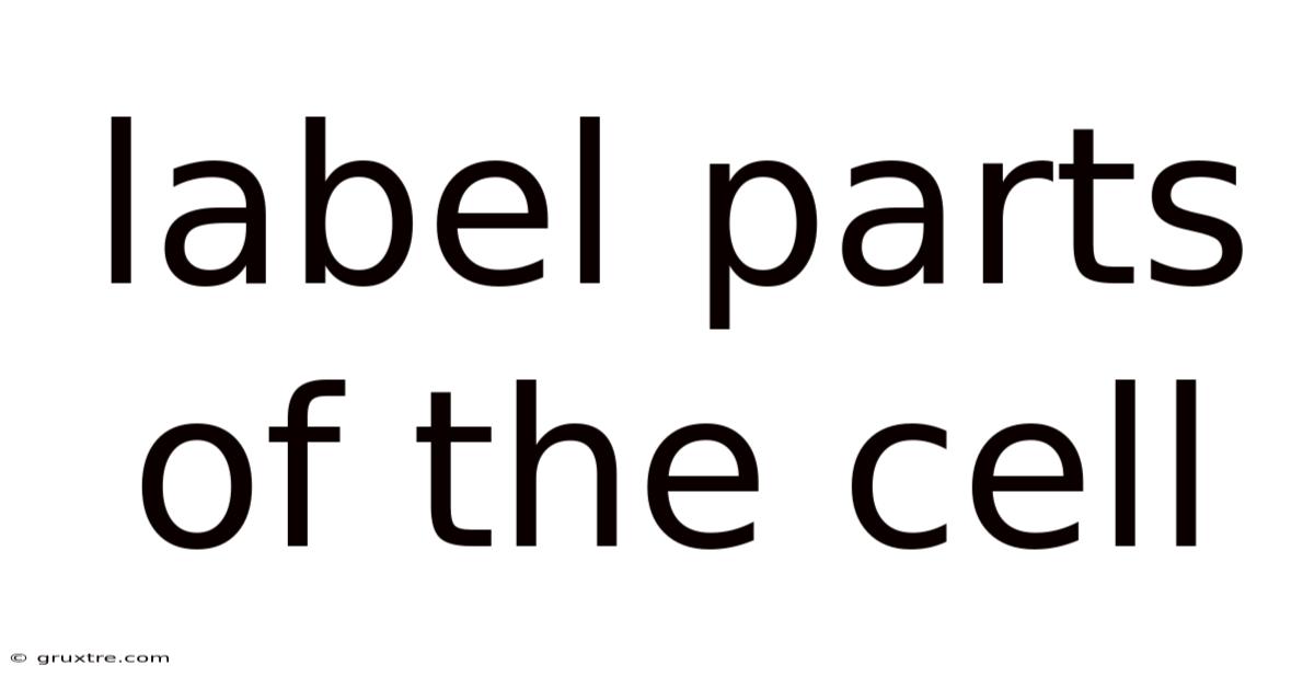 Label Parts Of The Cell