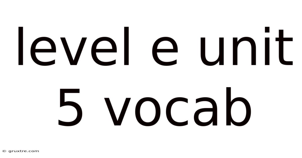 Level E Unit 5 Vocab