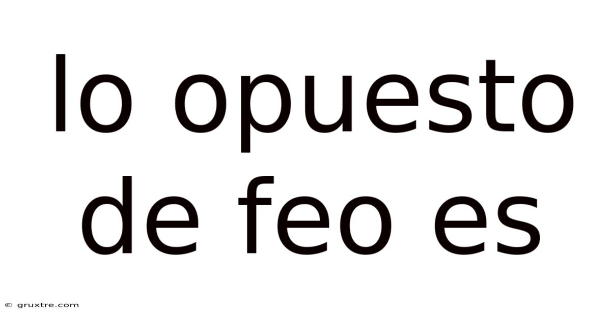 Lo Opuesto De Feo Es
