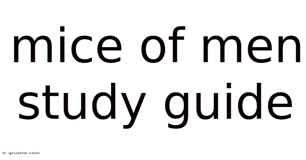 Mice Of Men Study Guide