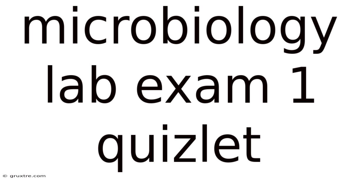 Microbiology Lab Exam 1 Quizlet