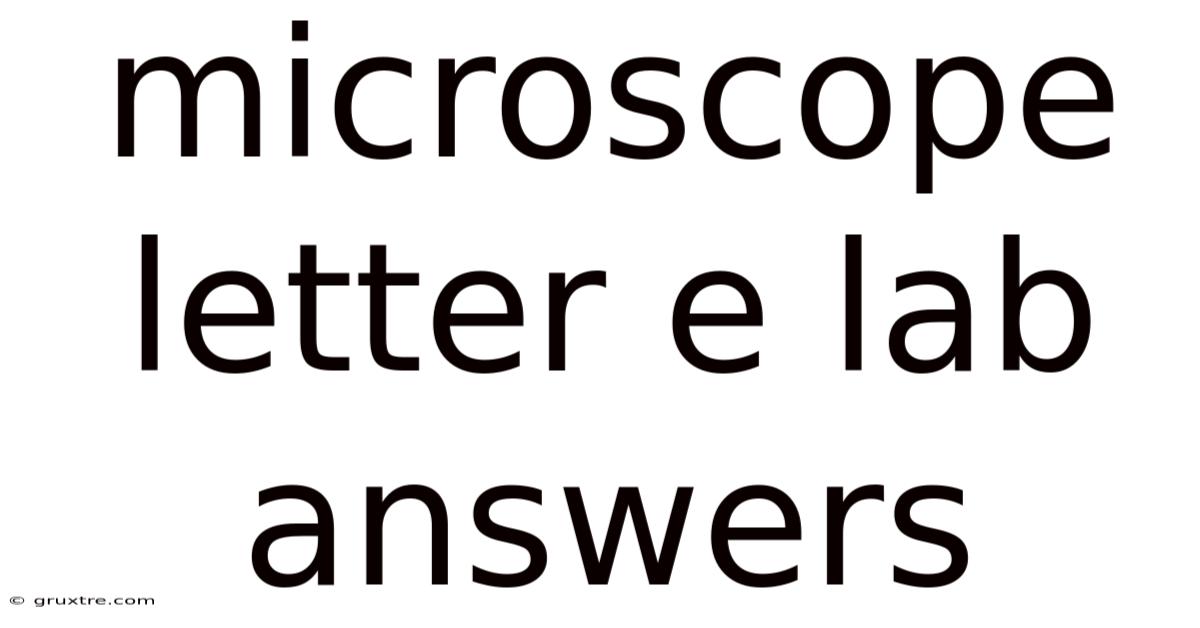 Microscope Letter E Lab Answers