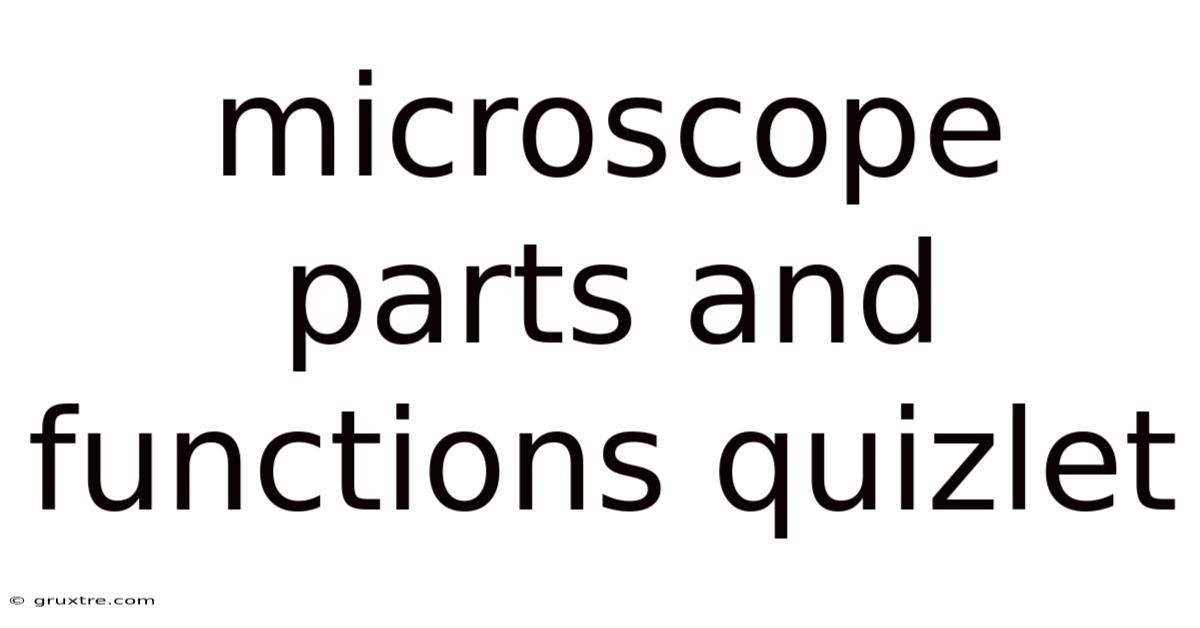 Microscope Parts And Functions Quizlet