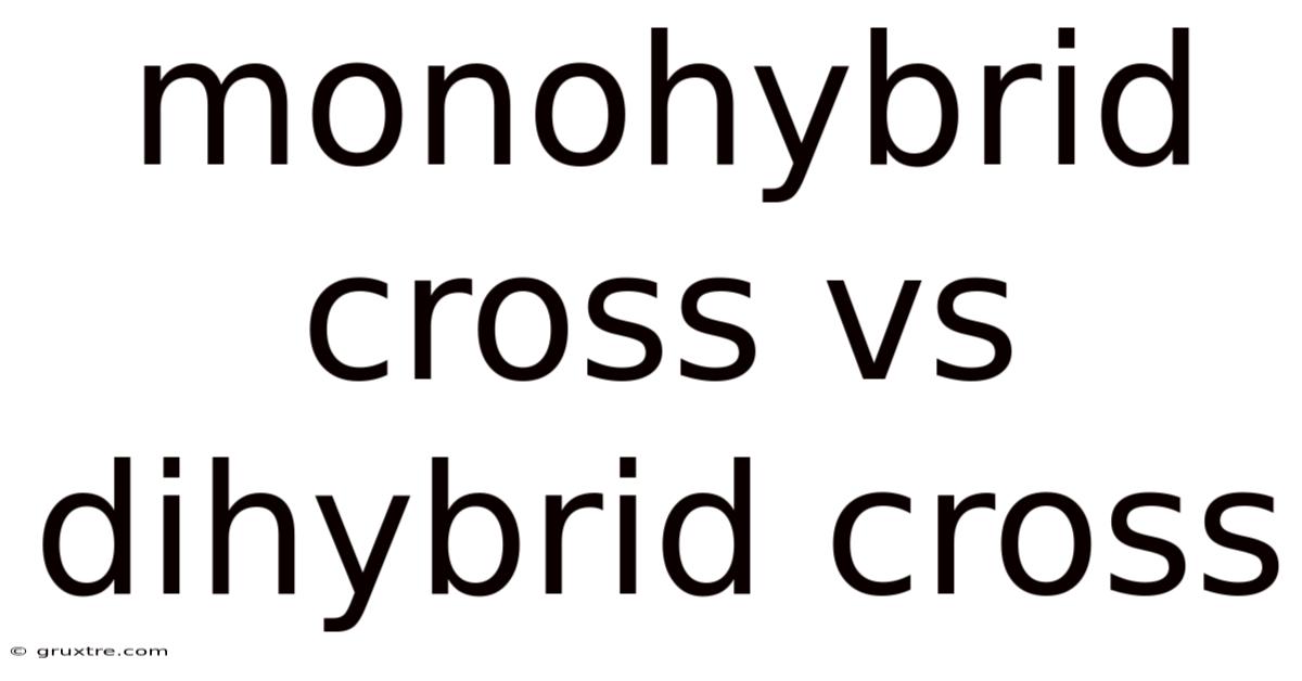 Monohybrid Cross Vs Dihybrid Cross
