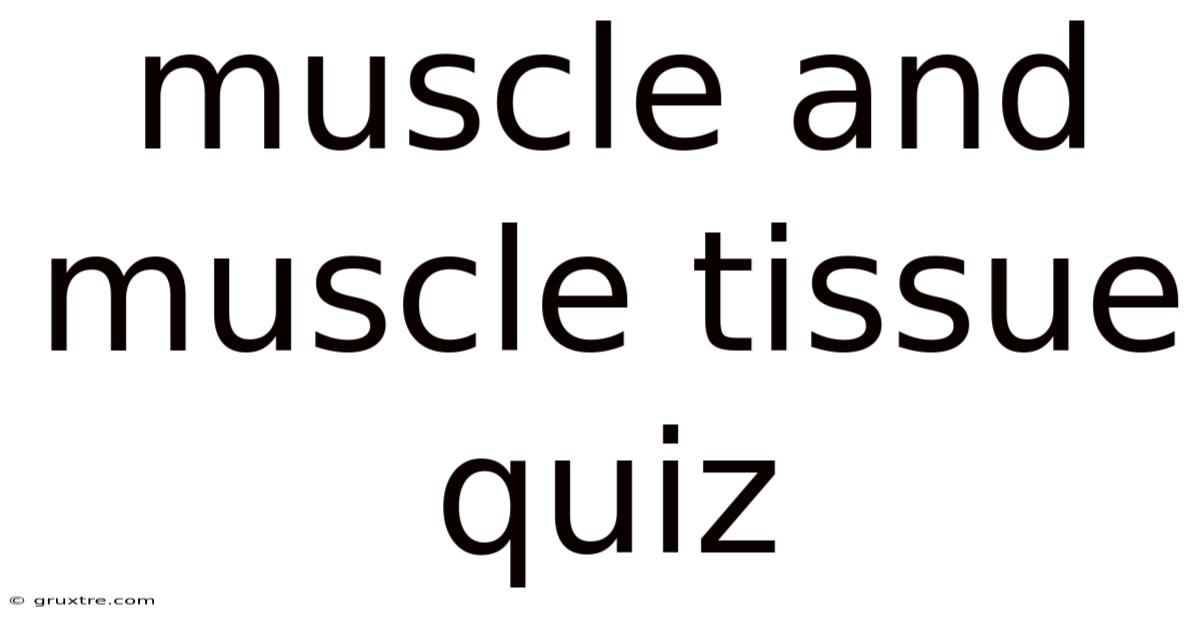 Muscle And Muscle Tissue Quiz