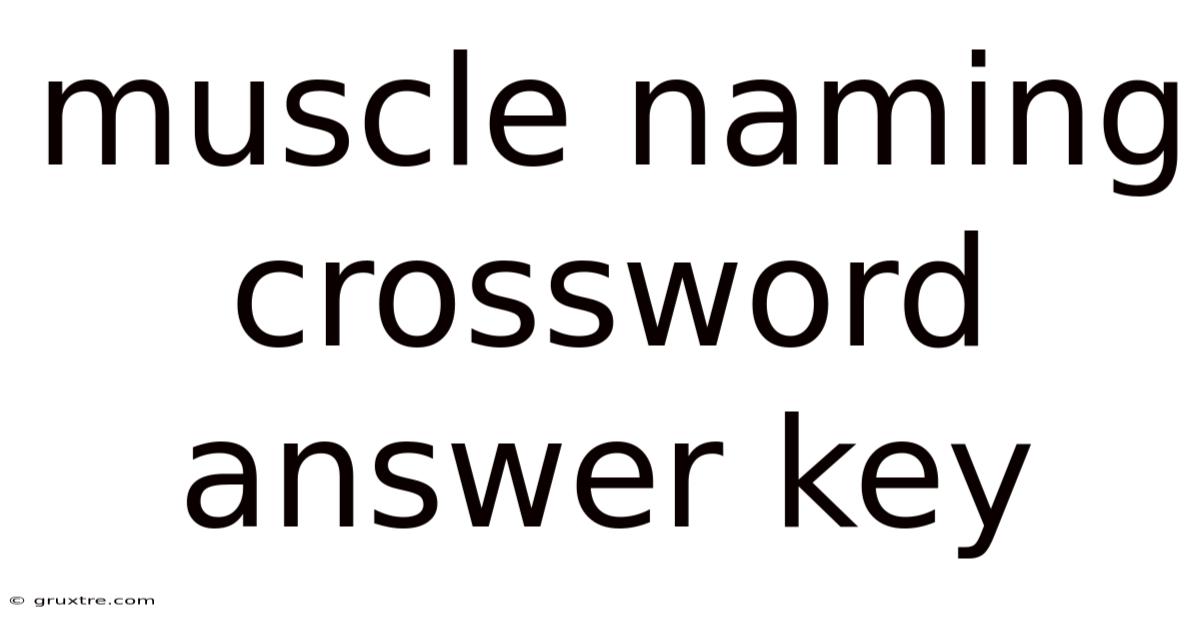 Muscle Naming Crossword Answer Key
