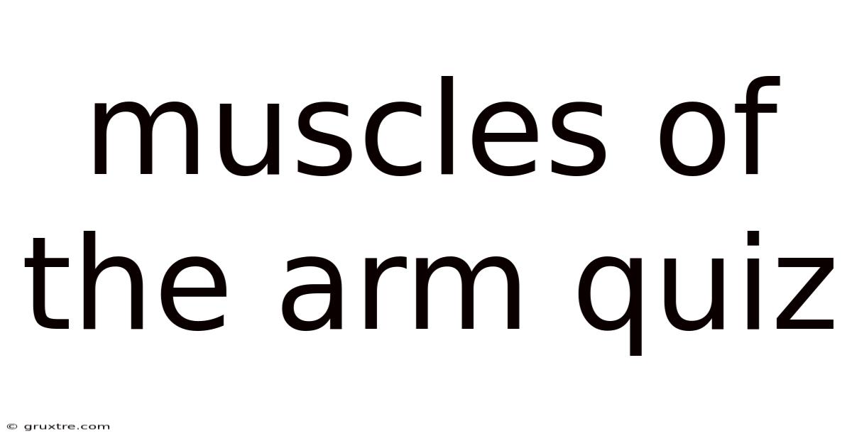 Muscles Of The Arm Quiz