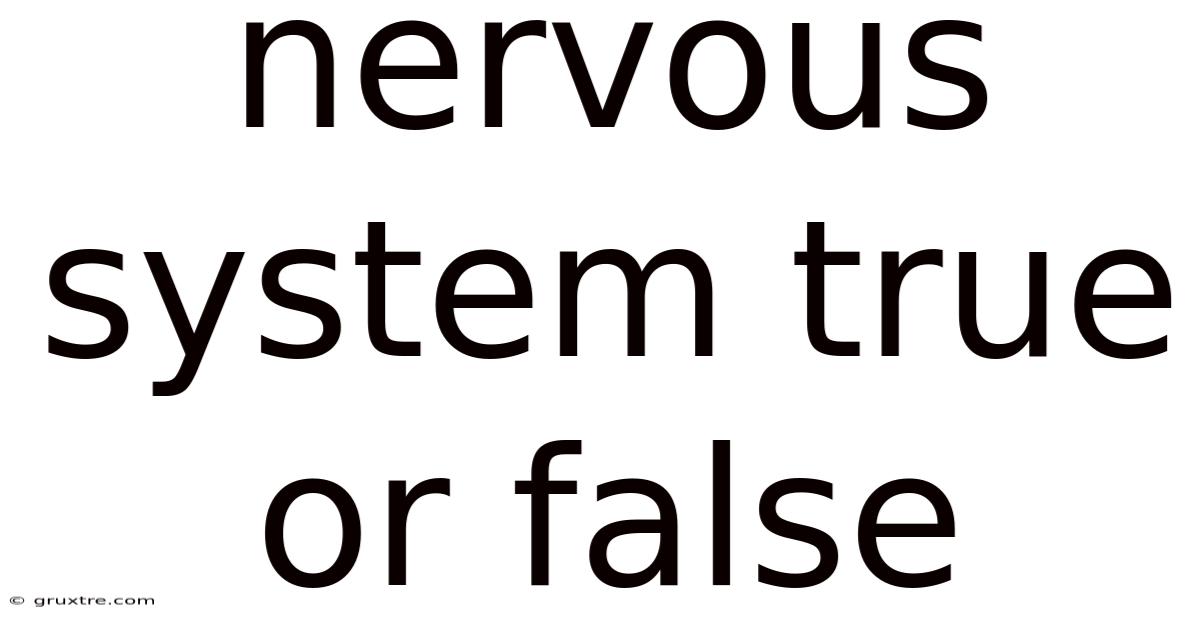 Nervous System True Or False
