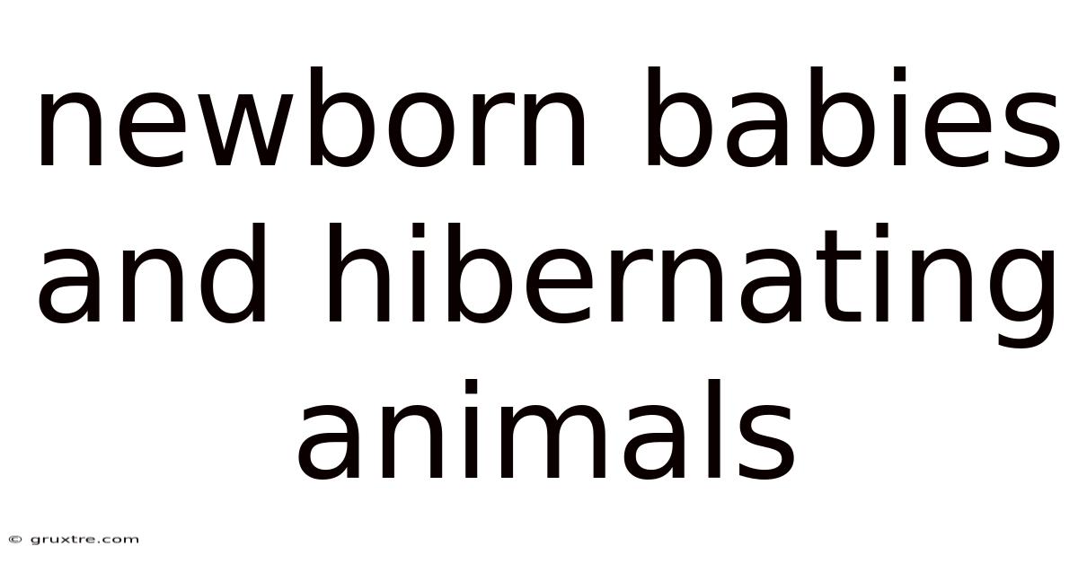 Newborn Babies And Hibernating Animals