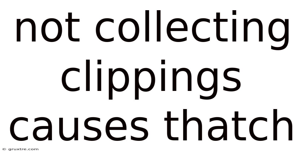 Not Collecting Clippings Causes Thatch