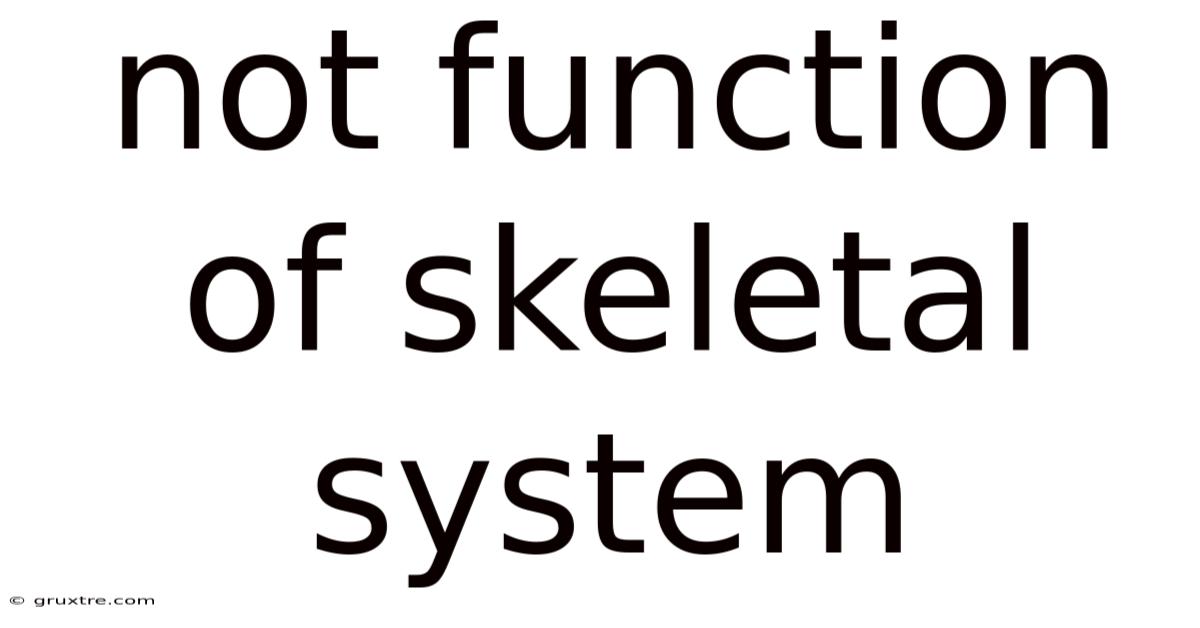 Not Function Of Skeletal System