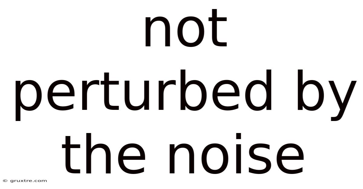 Not Perturbed By The Noise