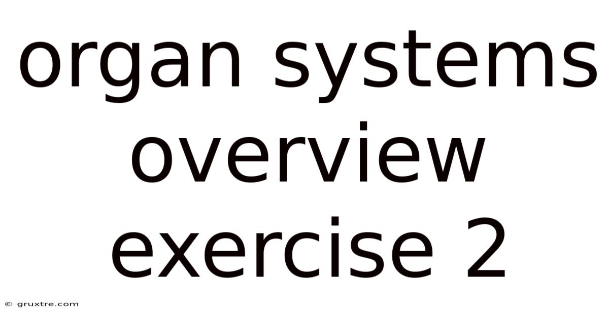 Organ Systems Overview Exercise 2