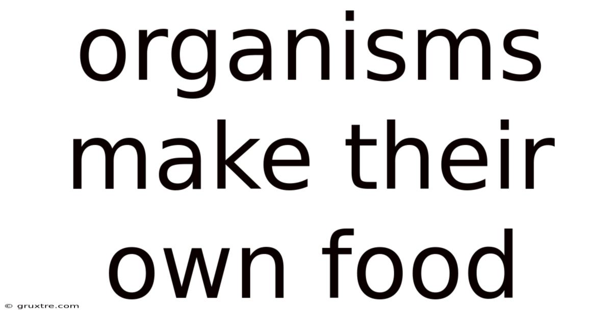 Organisms Make Their Own Food