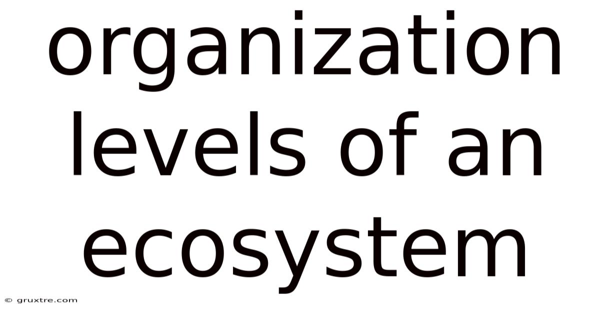 Organization Levels Of An Ecosystem