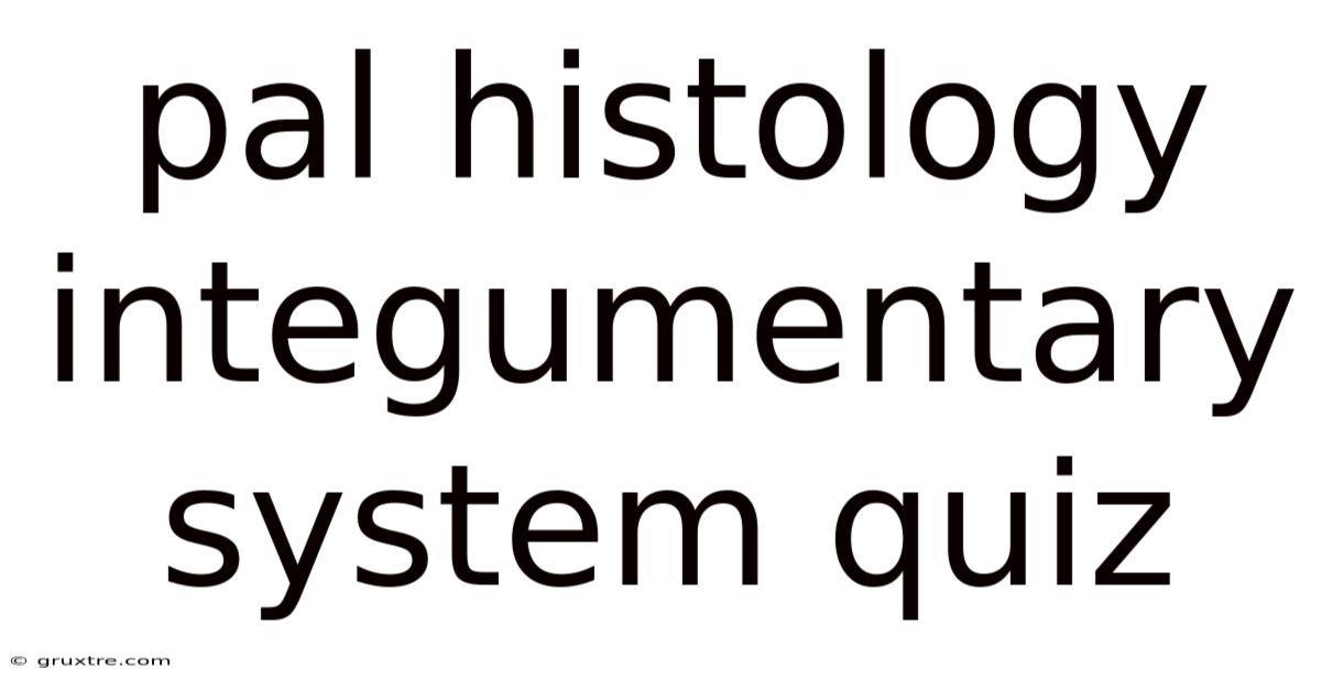 Pal Histology Integumentary System Quiz