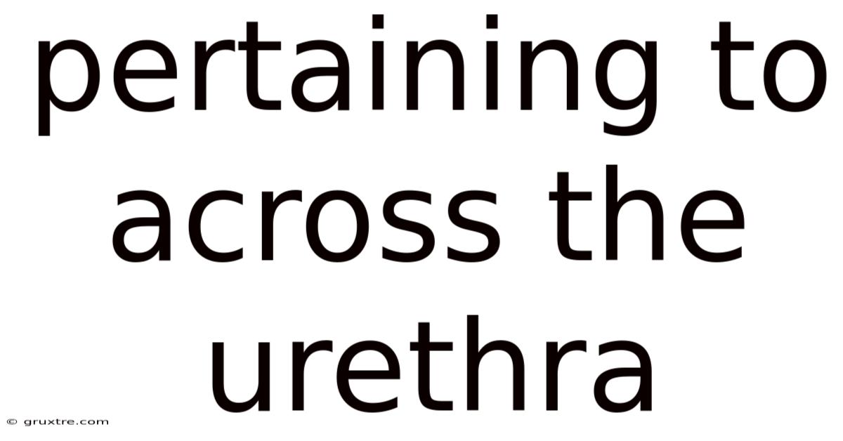 Pertaining To Across The Urethra