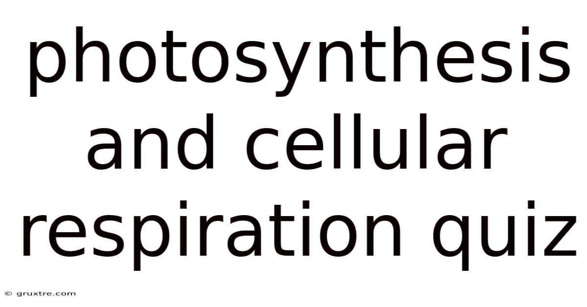 Photosynthesis And Cellular Respiration Quiz