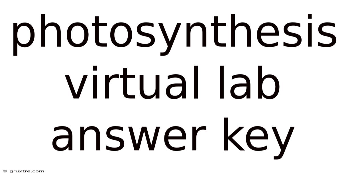 Photosynthesis Virtual Lab Answer Key