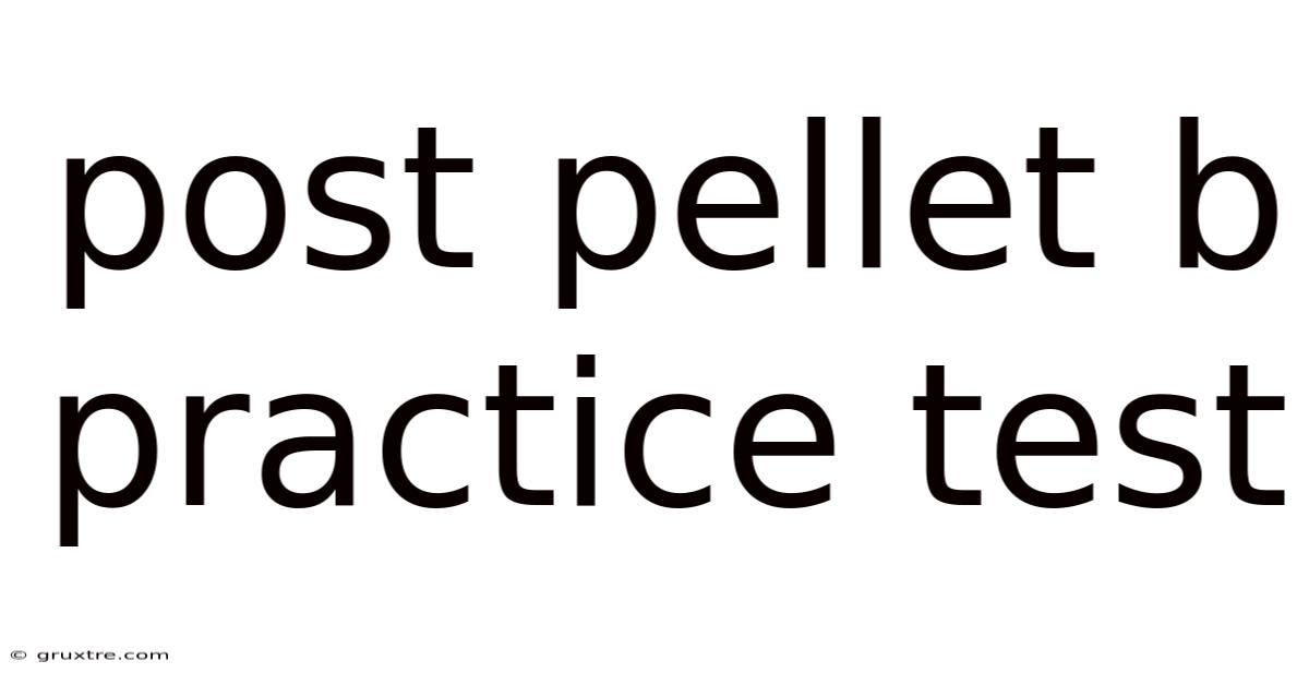 Post Pellet B Practice Test