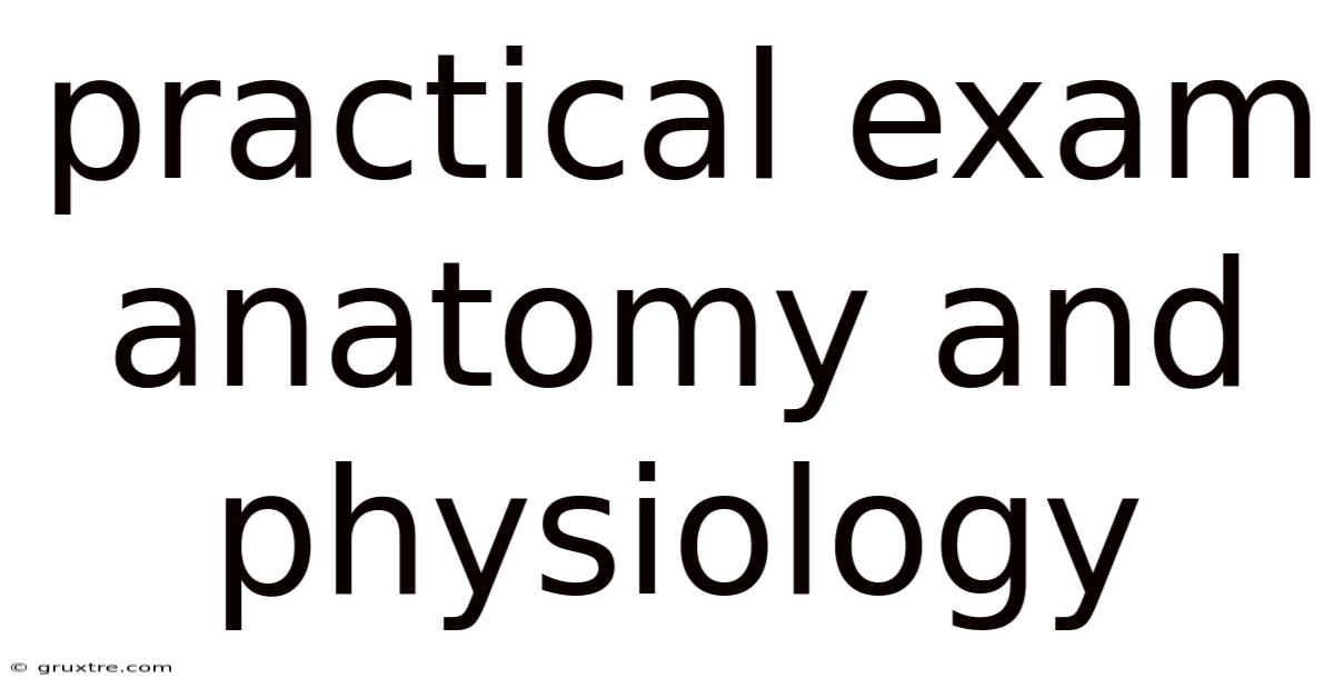 Practical Exam Anatomy And Physiology