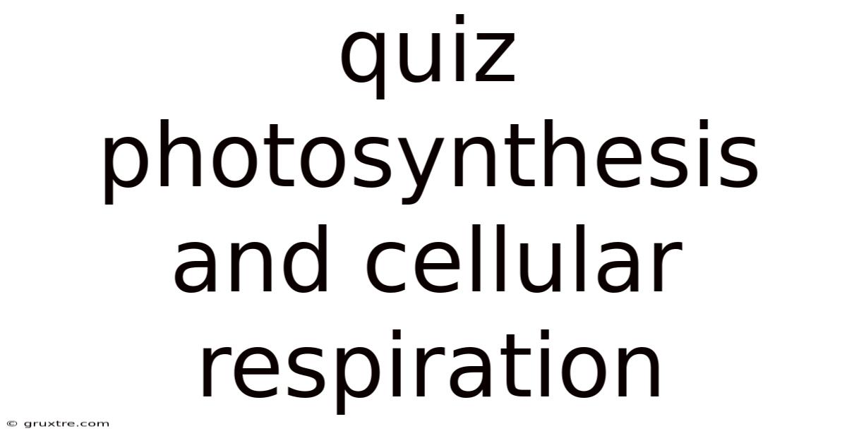 Quiz Photosynthesis And Cellular Respiration