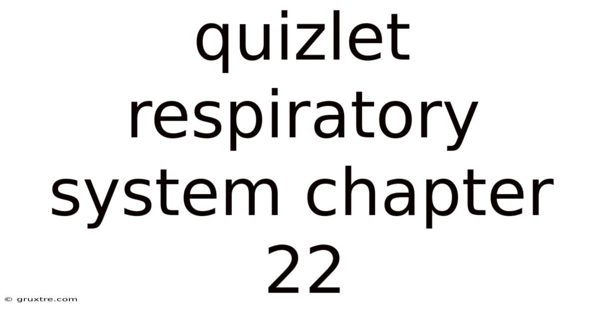 Quizlet Respiratory System Chapter 22