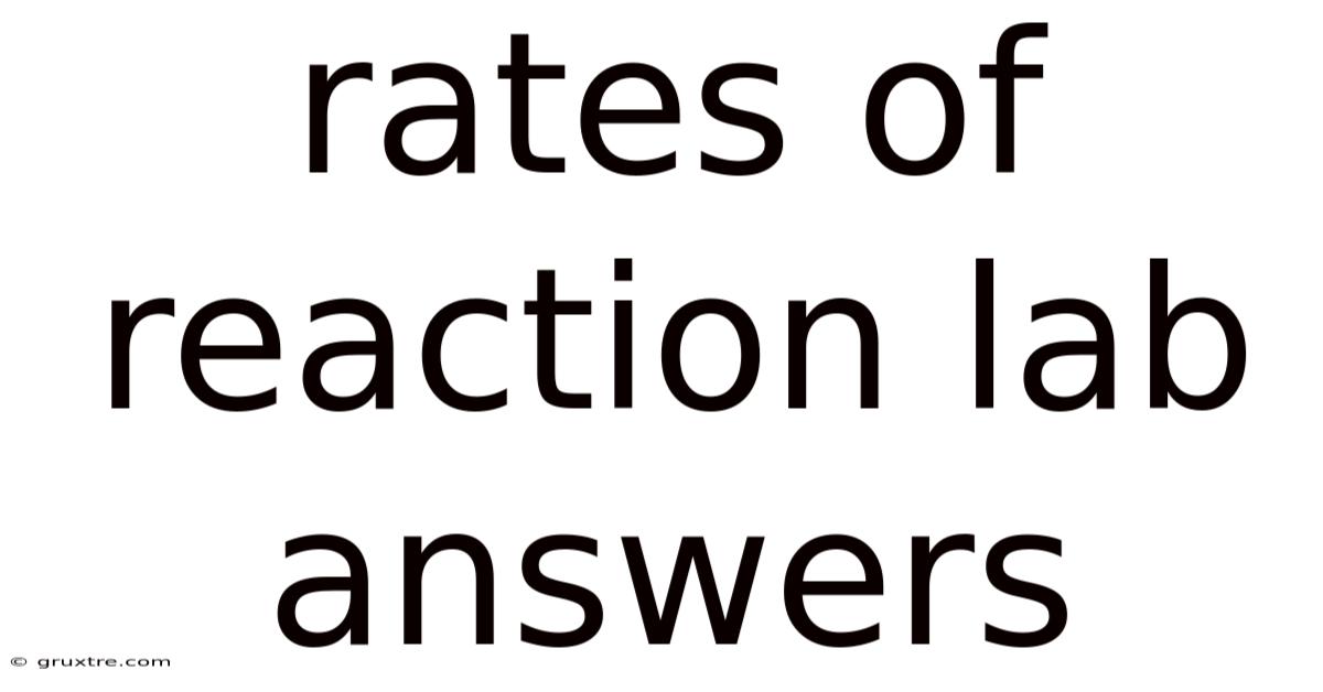 Rates Of Reaction Lab Answers