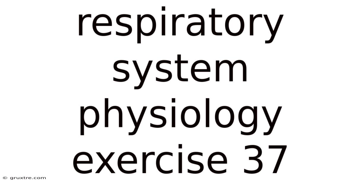 Respiratory System Physiology Exercise 37