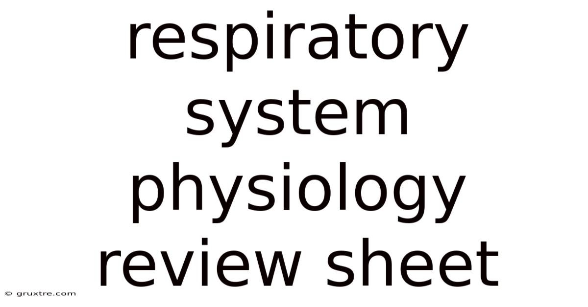 Respiratory System Physiology Review Sheet