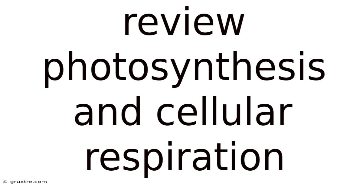 Review Photosynthesis And Cellular Respiration