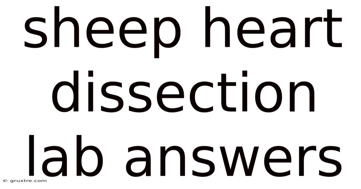 Sheep Heart Dissection Lab Answers