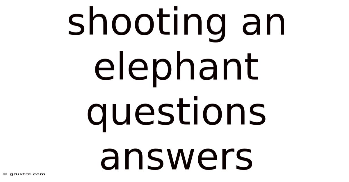 Shooting An Elephant Questions Answers