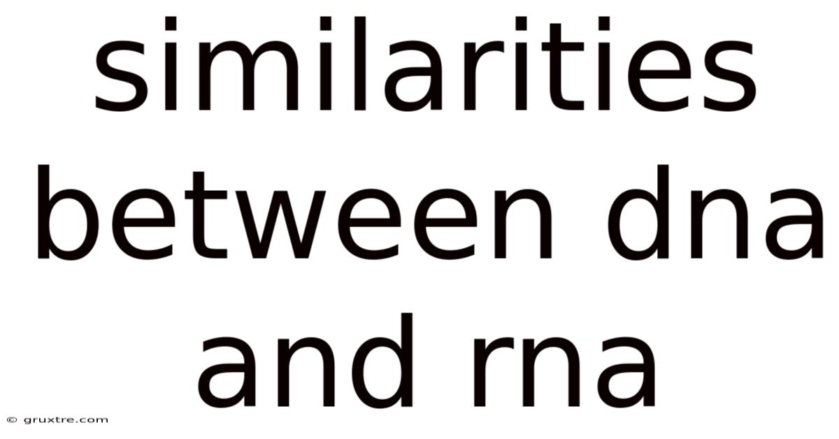 Similarities Between Dna And Rna