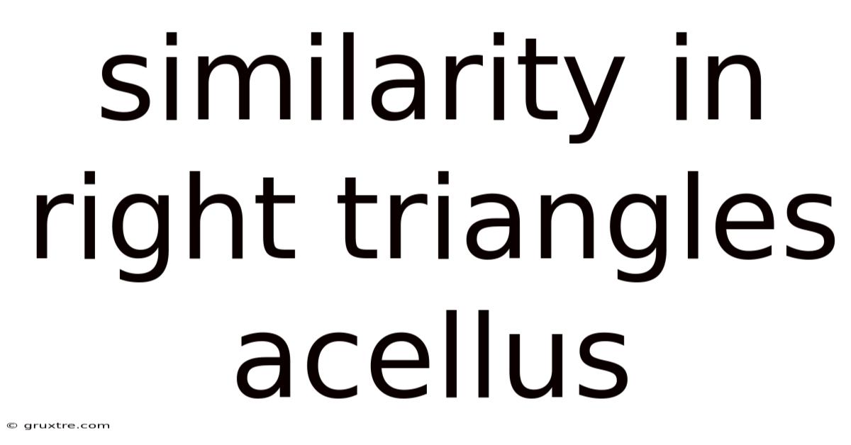 Similarity In Right Triangles Acellus