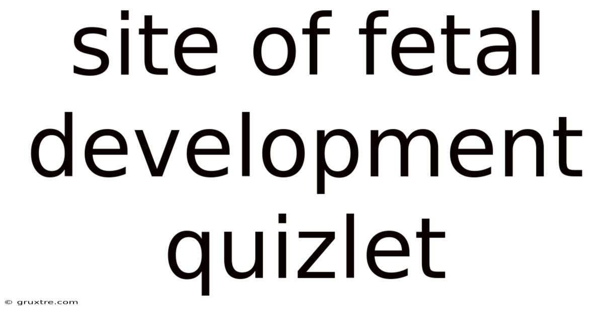 Site Of Fetal Development Quizlet