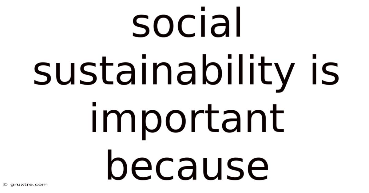 Social Sustainability Is Important Because