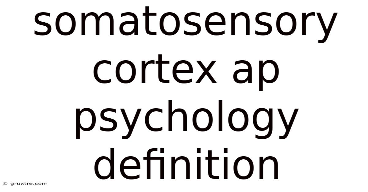 Somatosensory Cortex Ap Psychology Definition
