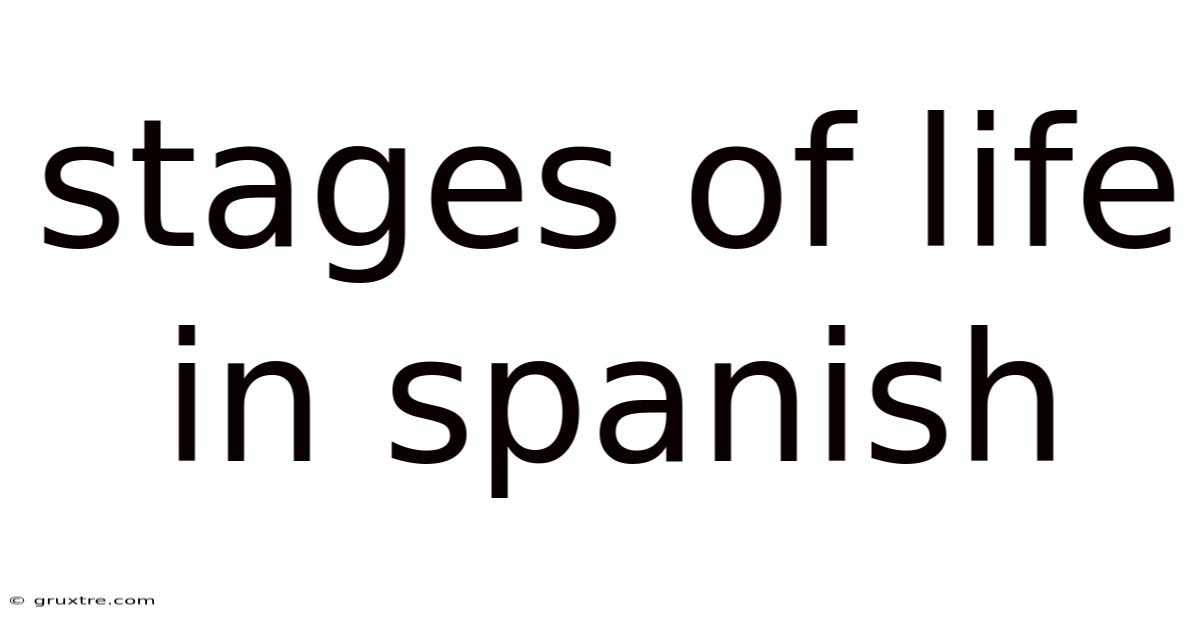 Stages Of Life In Spanish