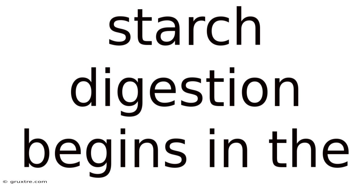 Starch Digestion Begins In The