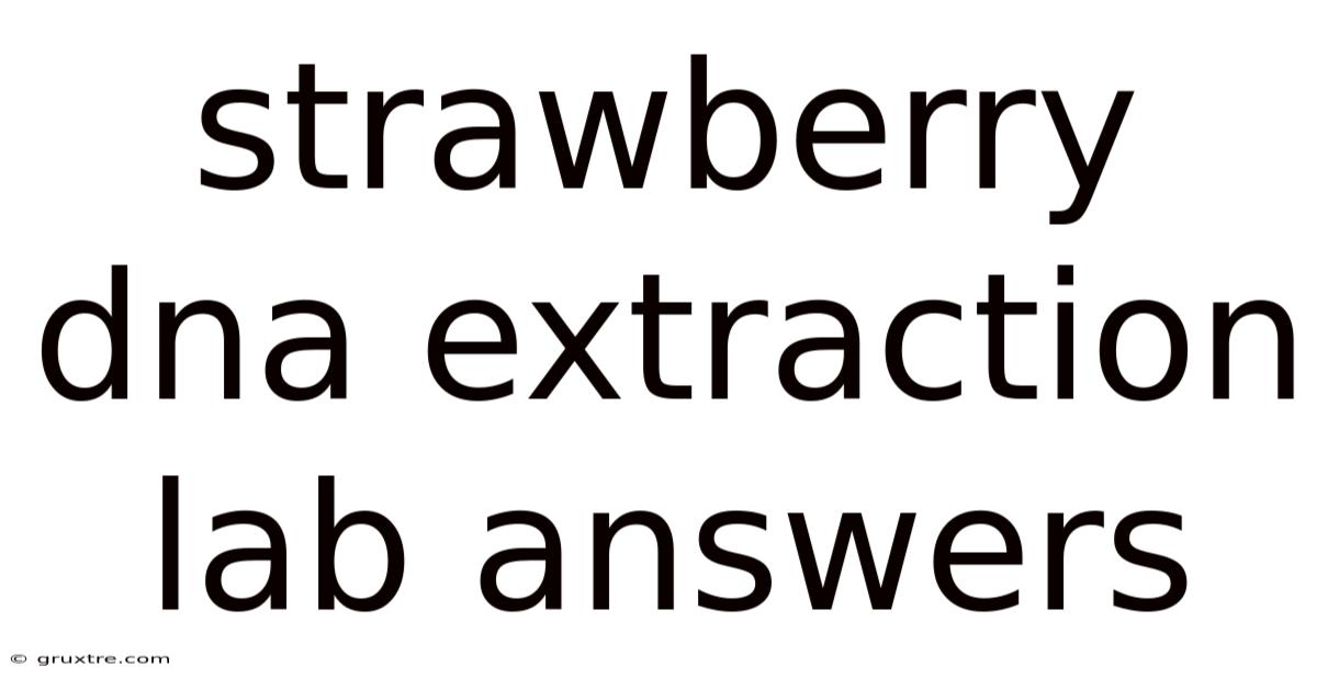 Strawberry Dna Extraction Lab Answers