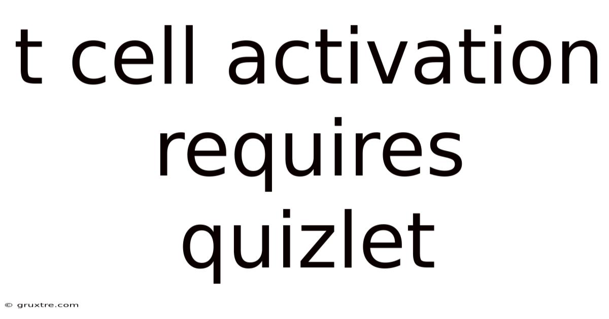 T Cell Activation Requires Quizlet